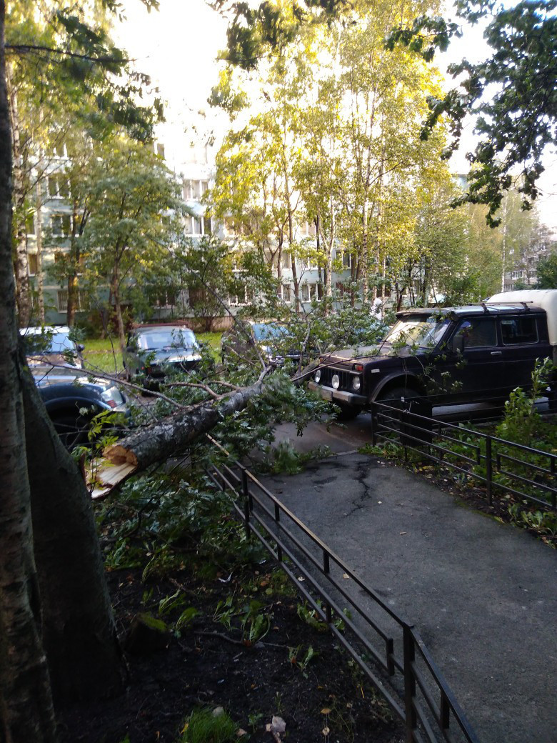 Подвойского, 28